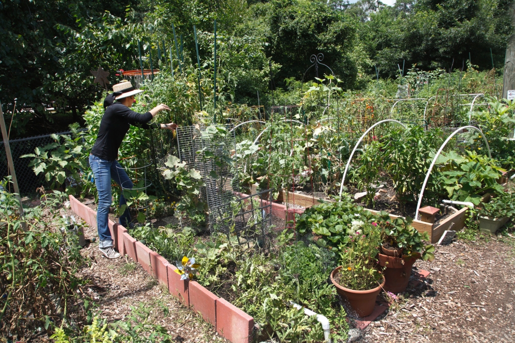Park Pride, community garden