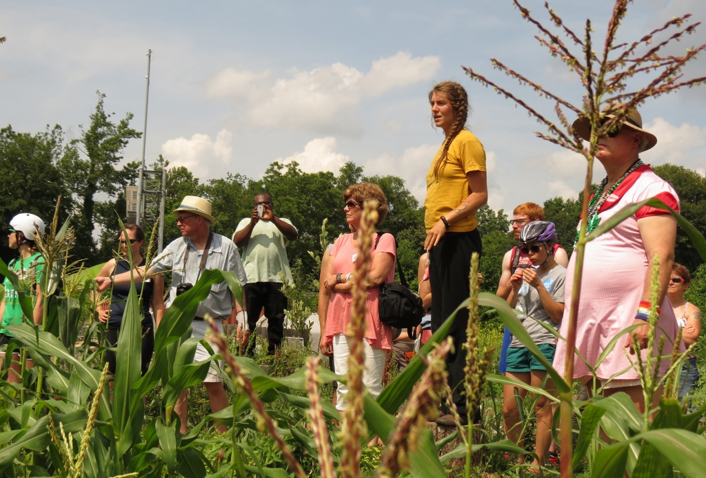 Park Pride, Community Garden