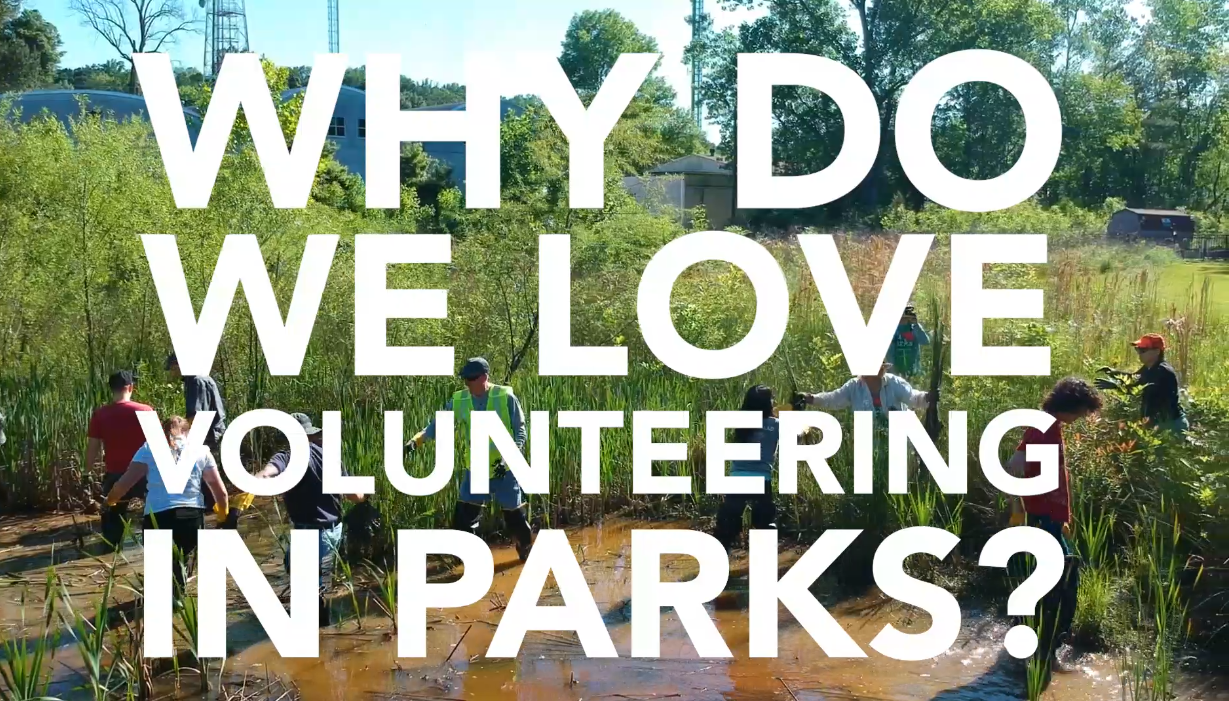 Why do we love volunteering in parks? Park Pride