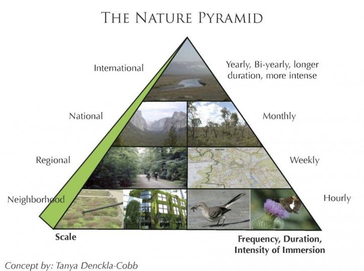 nature pyramid