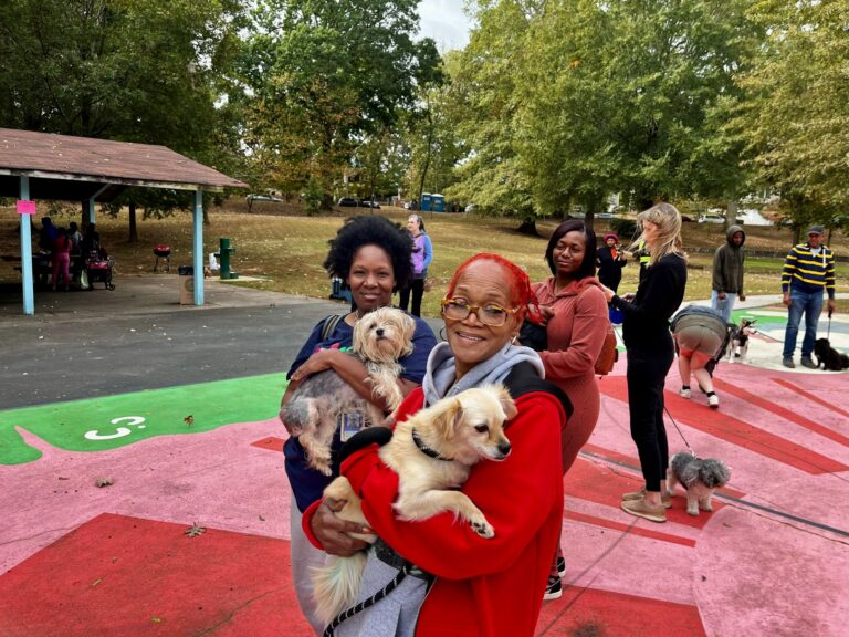 Park visitors holding dogs