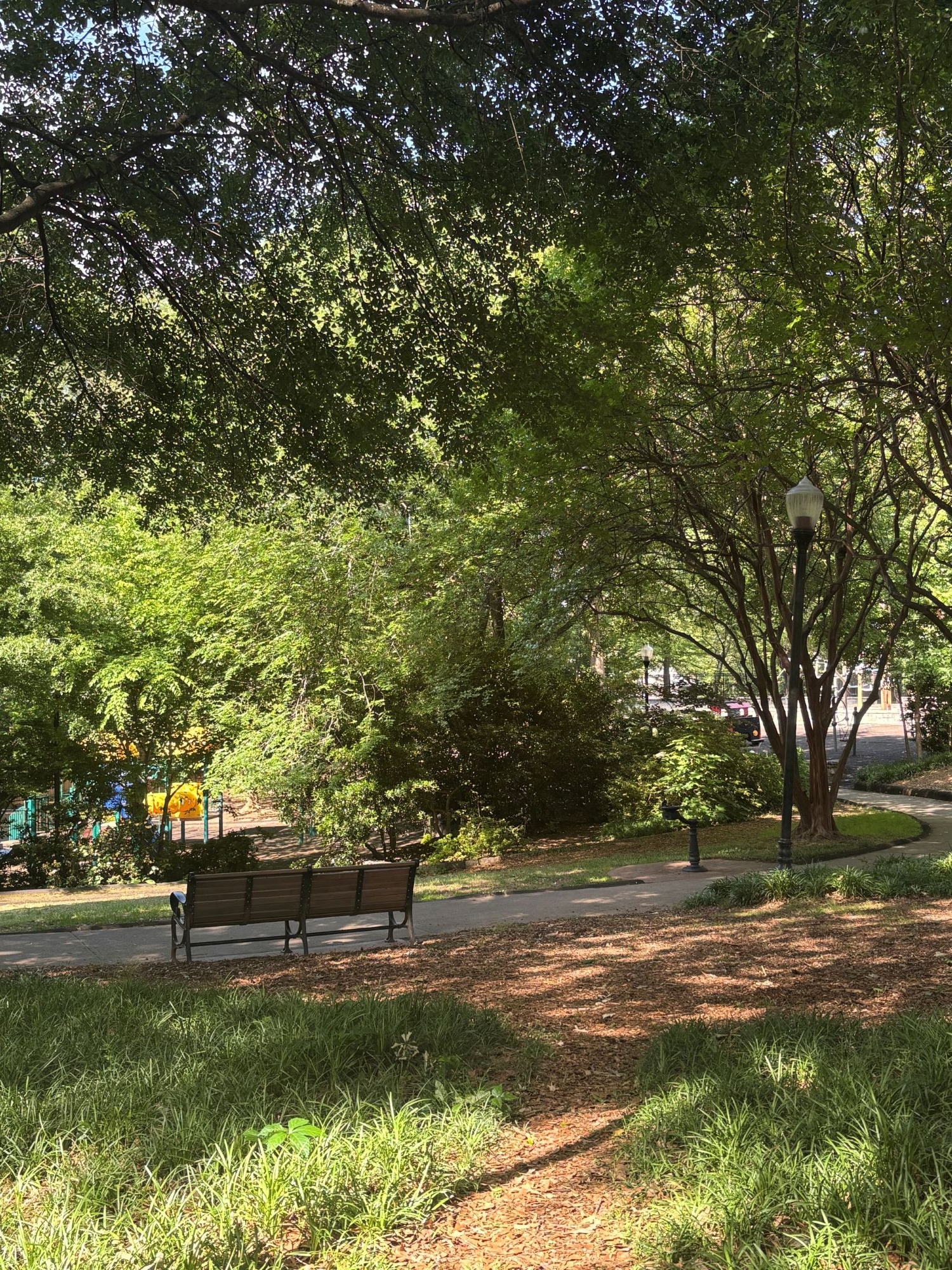 A snapshot of John Howell Park