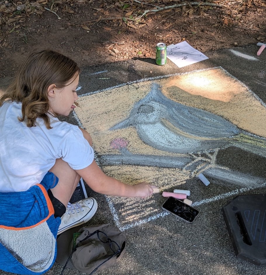 Kid drawing a bird with chalk