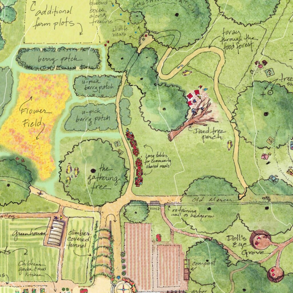 Hand-drawn site plan with flower field, berry patches, and greenhouse.