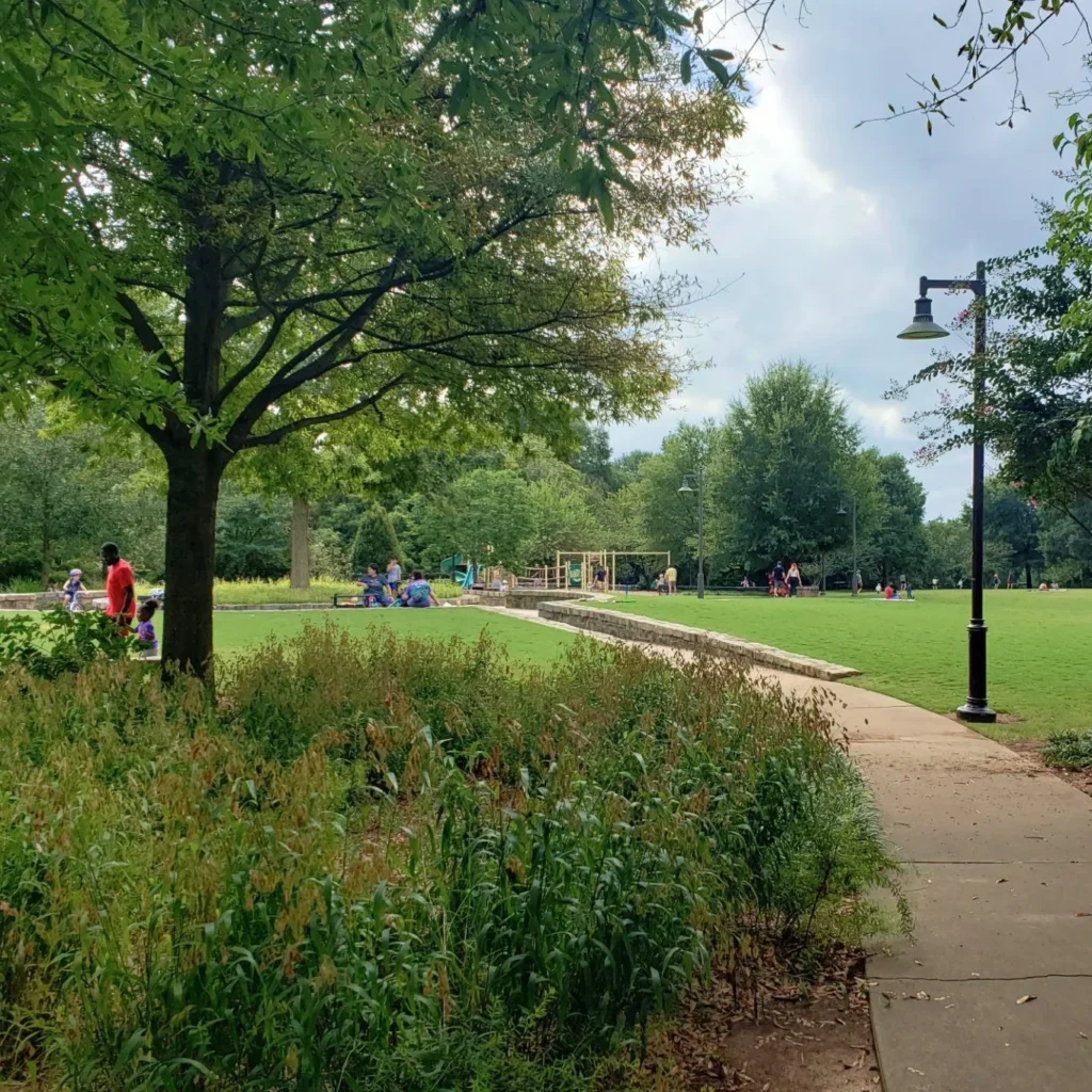 A tree-lined park path beside a lawn where families play